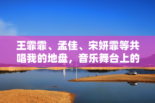 王霏霏、孟佳、宋妍霏等共唱我的地盘，音乐舞台上的璀璨合作