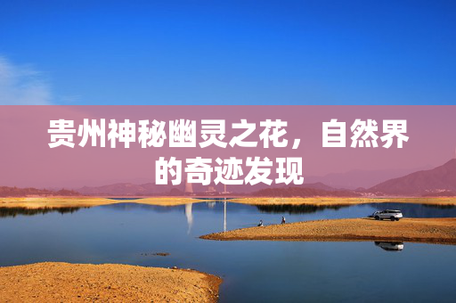 贵州神秘幽灵之花，自然界的奇迹发现