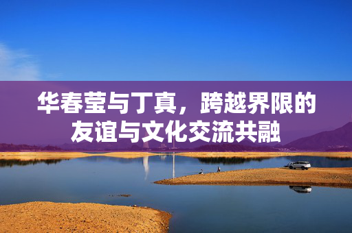 华春莹与丁真，跨越界限的友谊与文化交流共融