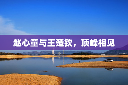 赵心童与王楚钦，顶峰相见