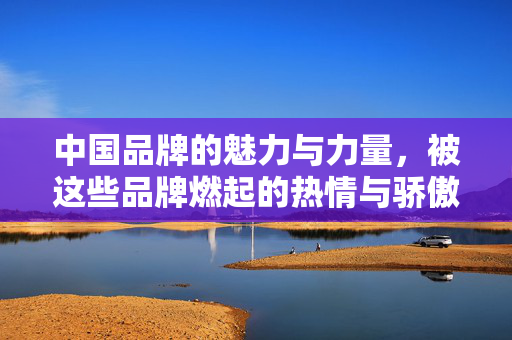 中国品牌的魅力与力量，被这些品牌燃起的热情与骄傲