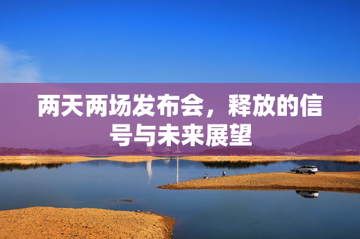 两天两场发布会，释放的信号与未来展望