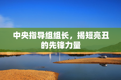 中央指导组组长，揭短亮丑的先锋力量