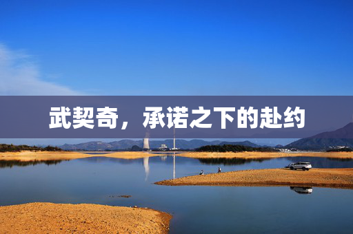 武契奇，承诺之下的赴约
