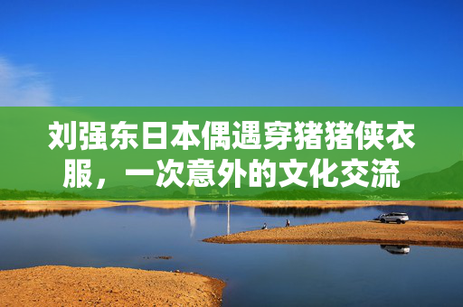 刘强东日本偶遇穿猪猪侠衣服，一次意外的文化交流