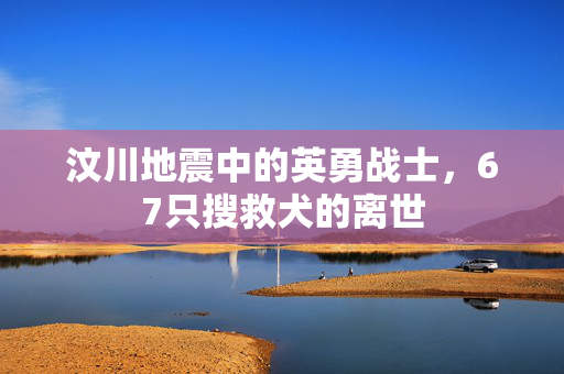 汶川地震中的英勇战士，67只搜救犬的离世
