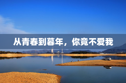 从青春到暮年，你竟不爱我