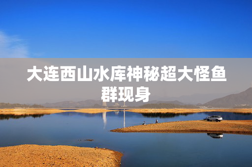 大连西山水库神秘超大怪鱼群现身