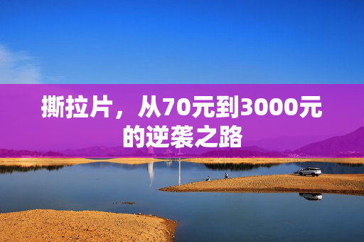 撕拉片，从70元到3000元的逆袭之路