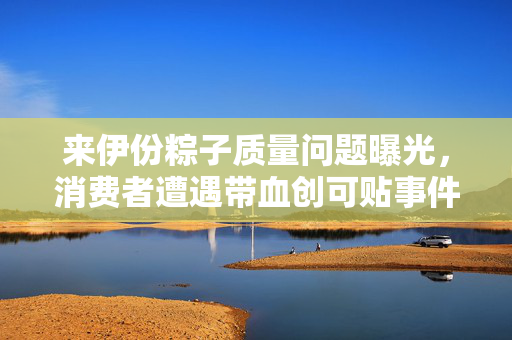 来伊份粽子质量问题曝光，消费者遭遇带血创可贴事件