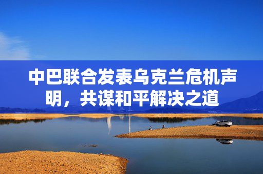 中巴联合发表乌克兰危机声明，共谋和平解决之道