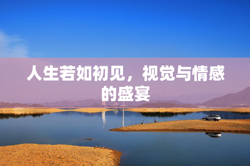人生若如初见，视觉与情感的盛宴