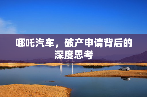 哪吒汽车，破产申请背后的深度思考