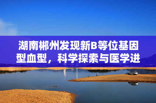 湖南郴州发现新B等位基因型血型，科学探索与医学进步的里程碑
