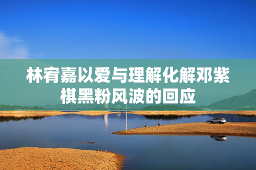 林宥嘉以爱与理解化解邓紫棋黑粉风波的回应