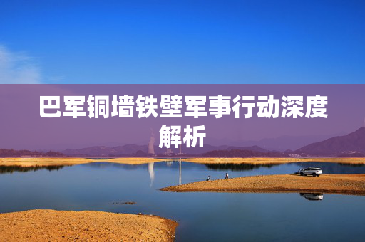 巴军铜墙铁壁军事行动深度解析