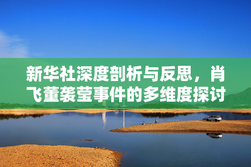 新华社深度剖析与反思，肖飞董袭莹事件的多维度探讨