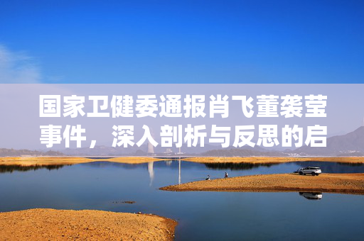 国家卫健委通报肖飞董袭莹事件，深入剖析与反思的启示