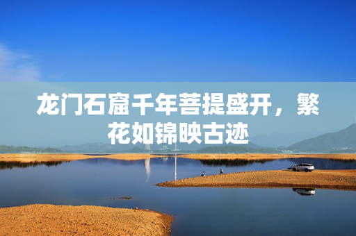 龙门石窟千年菩提盛开，繁花如锦映古迹