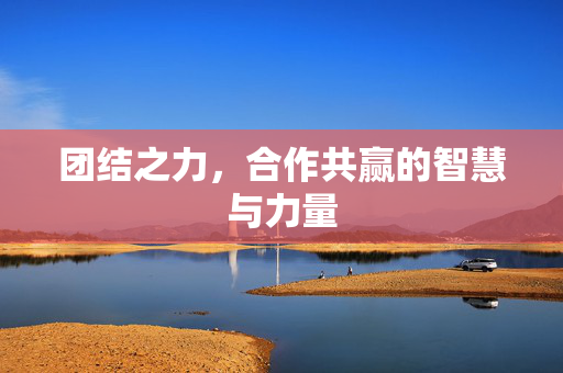 团结之力，合作共赢的智慧与力量