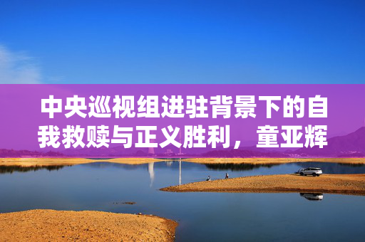 中央巡视组进驻背景下的自我救赎与正义胜利，童亚辉主动投案的启示