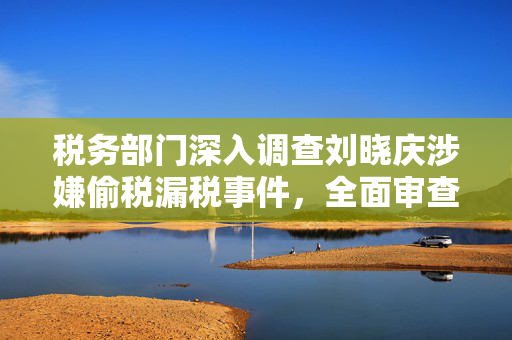税务部门深入调查刘晓庆涉嫌偷税漏税事件，全面审查与追责的背后