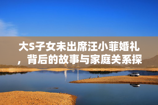 大S子女未出席汪小菲婚礼，背后的故事与家庭关系探讨