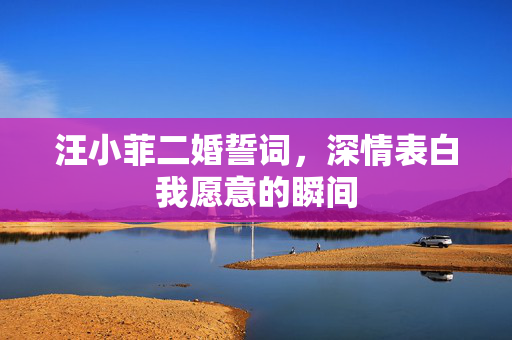 汪小菲二婚誓词，深情表白我愿意的瞬间