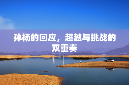 孙杨的回应，超越与挑战的双重奏