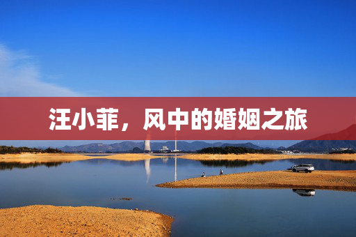 汪小菲，风中的婚姻之旅