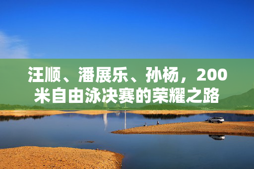 汪顺、潘展乐、孙杨，200米自由泳决赛的荣耀之路