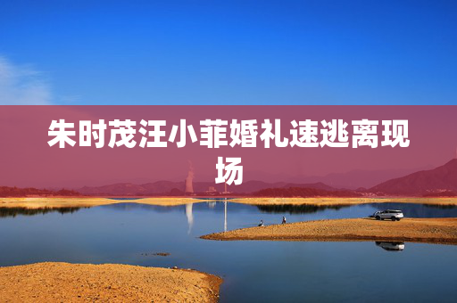 朱时茂汪小菲婚礼速逃离现场