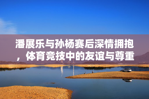 潘展乐与孙杨赛后深情拥抱，体育竞技中的友谊与尊重