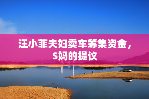 汪小菲夫妇卖车筹集资金，S妈的提议