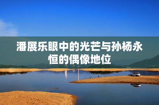 潘展乐眼中的光芒与孙杨永恒的偶像地位