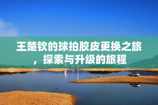 王楚钦的球拍胶皮更换之旅，探索与升级的旅程