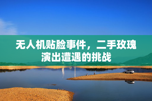 无人机贴脸事件，二手玫瑰演出遭遇的挑战
