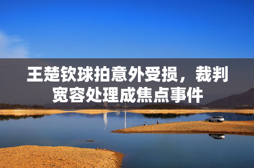 王楚钦球拍意外受损，裁判宽容处理成焦点事件