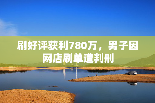 刷好评获利780万，男子因网店刷单遭判刑