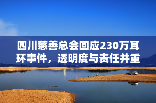 四川慈善总会回应230万耳环事件，透明度与责任并重