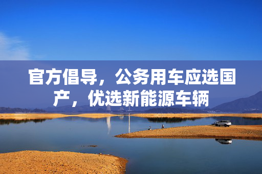 官方倡导，公务用车应选国产，优选新能源车辆