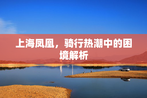 上海凤凰，骑行热潮中的困境解析