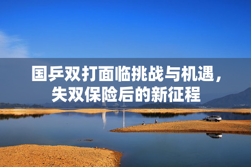 国乒双打面临挑战与机遇，失双保险后的新征程
