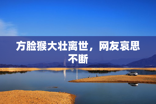 方脸猴大壮离世，网友哀思不断