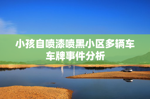 小孩自喷漆喷黑小区多辆车车牌事件分析