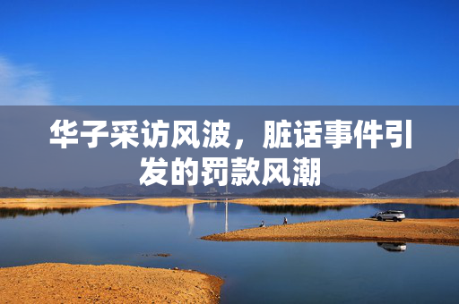 华子采访风波，脏话事件引发的罚款风潮