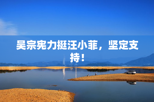 吴宗宪力挺汪小菲，坚定支持！