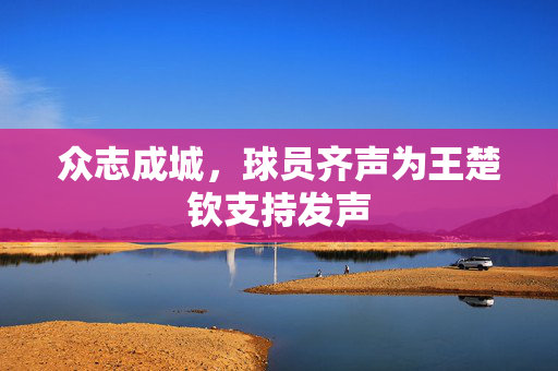 众志成城，球员齐声为王楚钦支持发声