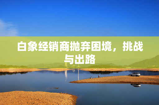 白象经销商抛弃困境，挑战与出路