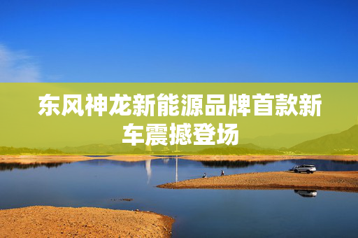 东风神龙新能源品牌首款新车震撼登场